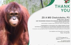 thank you borneo 250x160 - School week for suistanbility