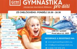 gymnastika 250x160 - Gymnastika pro děti