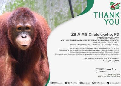 thank you borneo 400x284 - School week for sustainbility