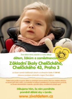 srdickove dny jaro 2024 chel 250x344 - Srdíčkové dny - jaro 2024 Chelčického