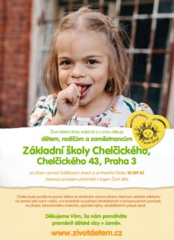 srdickove dny jaro 2025 chelcickeho 250x345 - Srdíčkové dny - jaro 2025 Chelčického