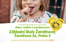 srdickove dny jaro 2025 zerotinova 250x160 - Srdíčkové dny - jaro 2025 Žerotínova